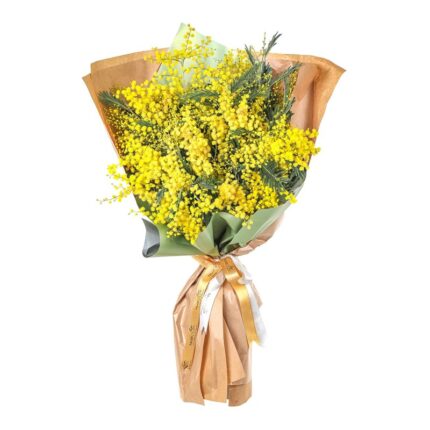 Buket Mimoza
