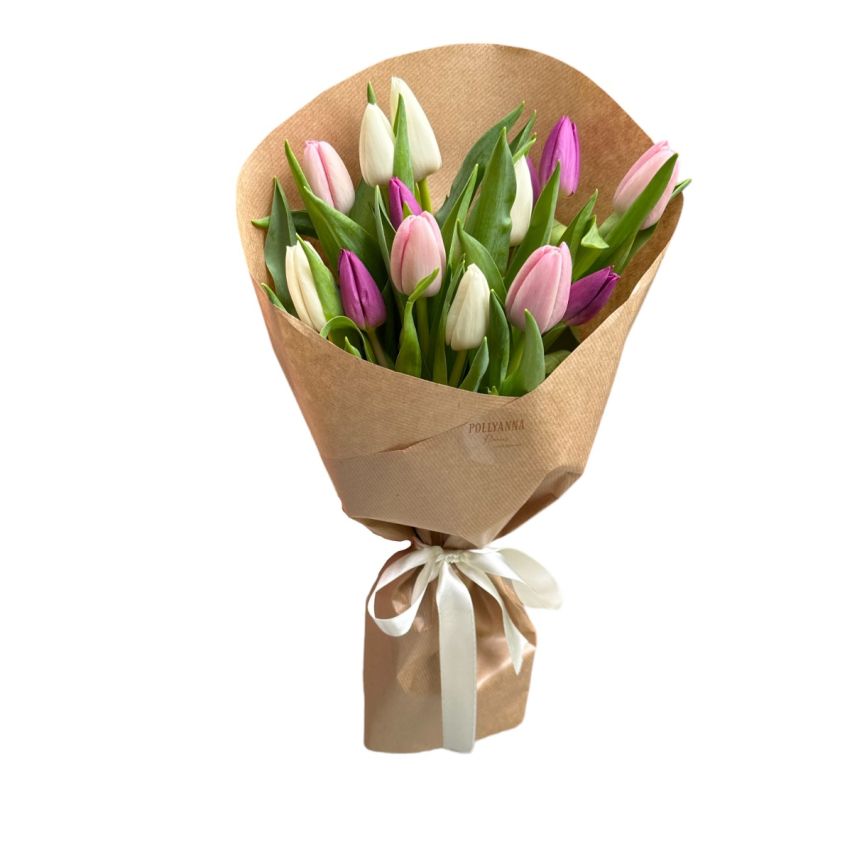 photoroom_20240501_155807