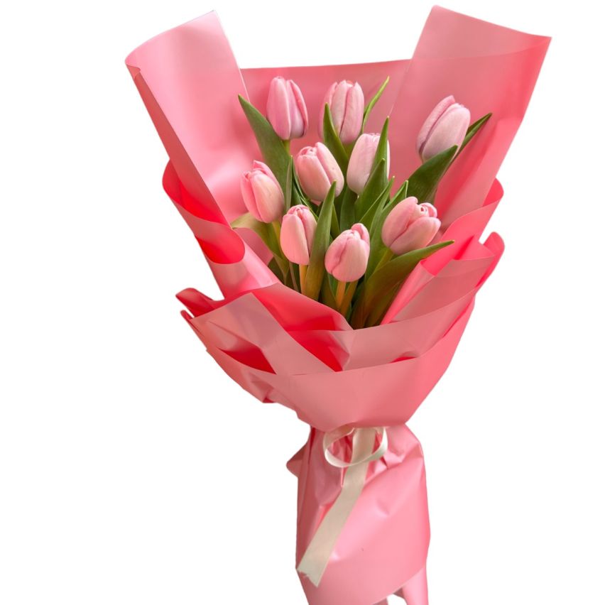 photoroom_20240501_162812_1